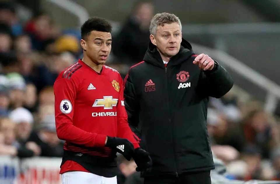 指导如何在 指导如何在